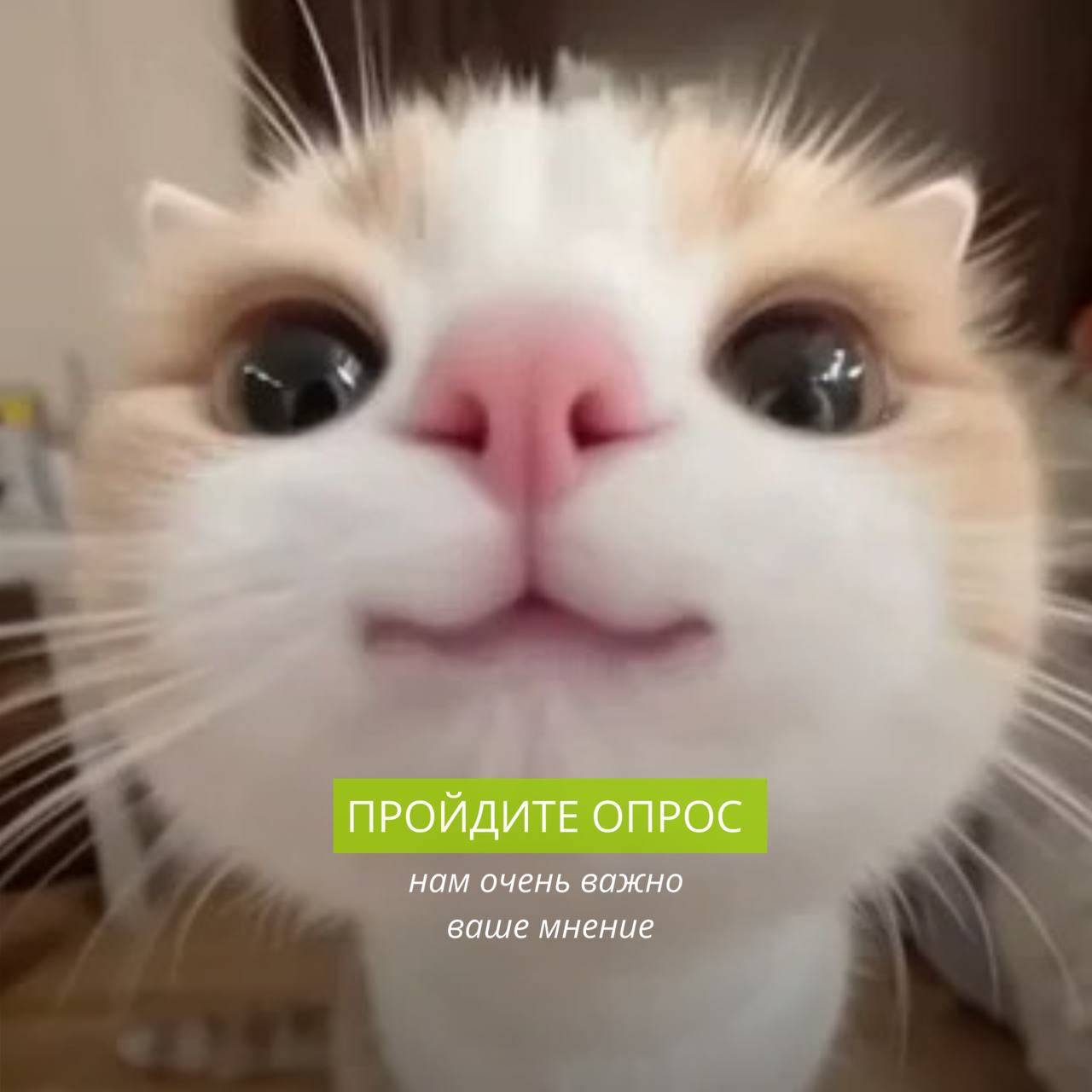 Друзья, нам очень важно ваше мнение! 珞